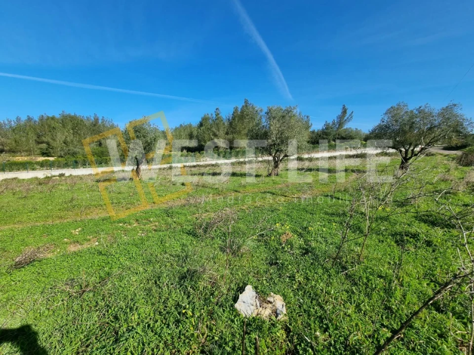 Terreno Agricola ou Rústico para Venda em Milharado Foto 12