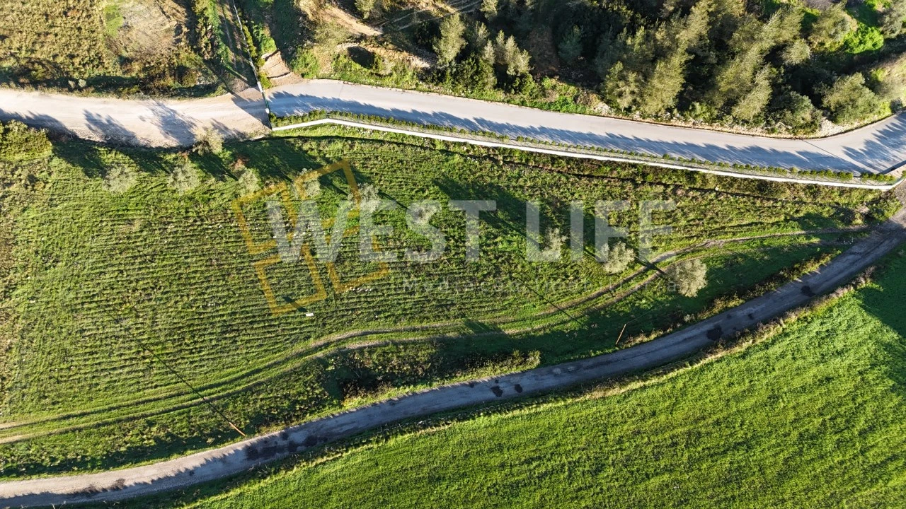 Terreno Agricola ou Rústico para Venda em Milharado Foto 13