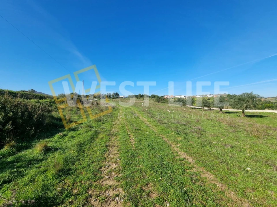 Terreno Agricola ou Rústico para Venda em Milharado Foto 14