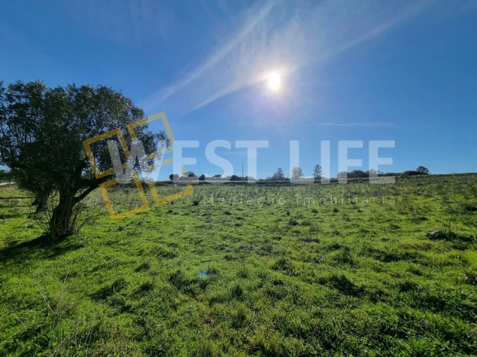 Terreno Agricola ou Rústico para Venda em Milharado Foto 8