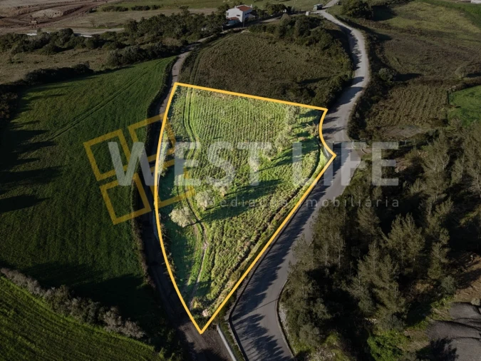 Terreno Agricola ou Rústico para Venda em Milharado Foto 2