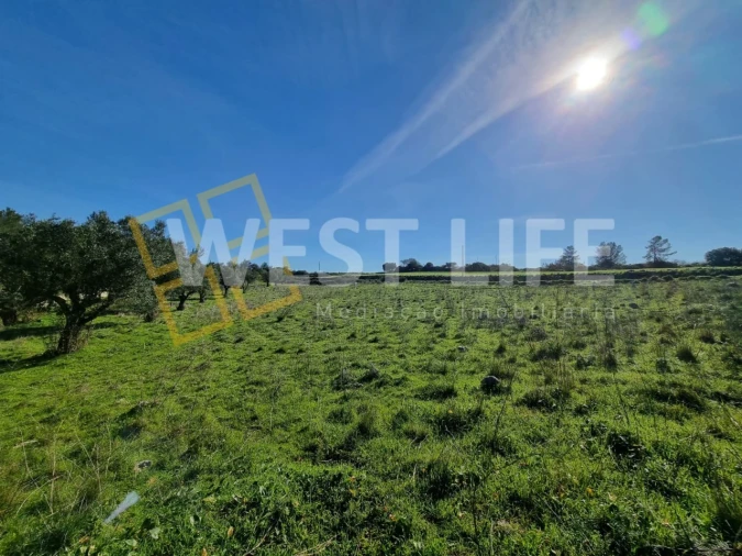 Terreno Agricola ou Rústico para Venda em Milharado Foto 6