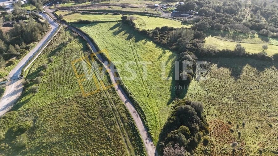 Terreno Agricola ou Rústico para Venda em Milharado Foto 7