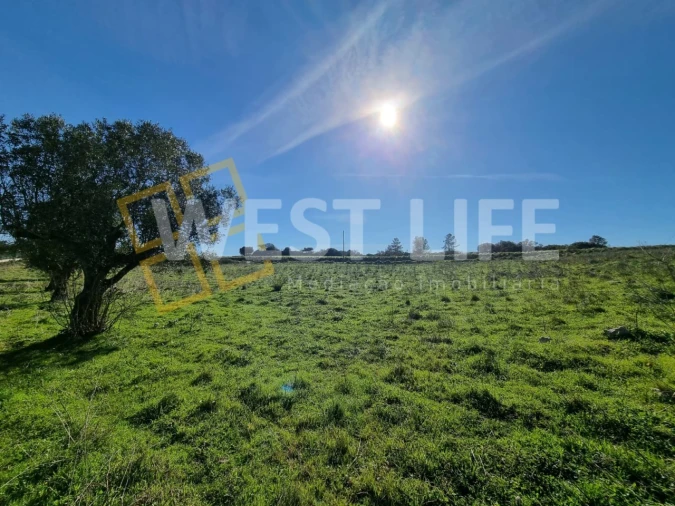 Terreno Agricola ou Rústico para Venda em Milharado Foto 8