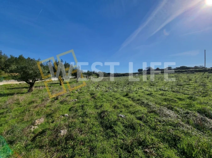 Terreno Agricola ou Rústico para Venda em Milharado Foto 15
