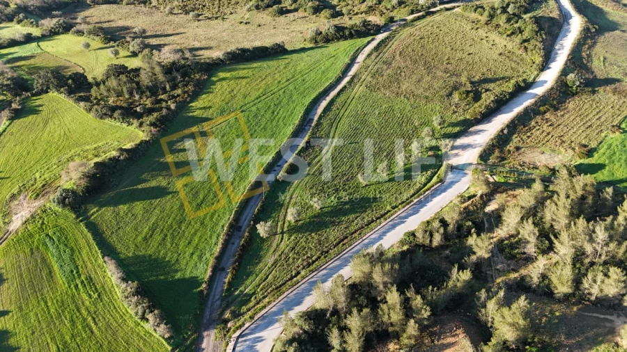 Terreno Agricola ou Rústico para Venda em Milharado Foto 9