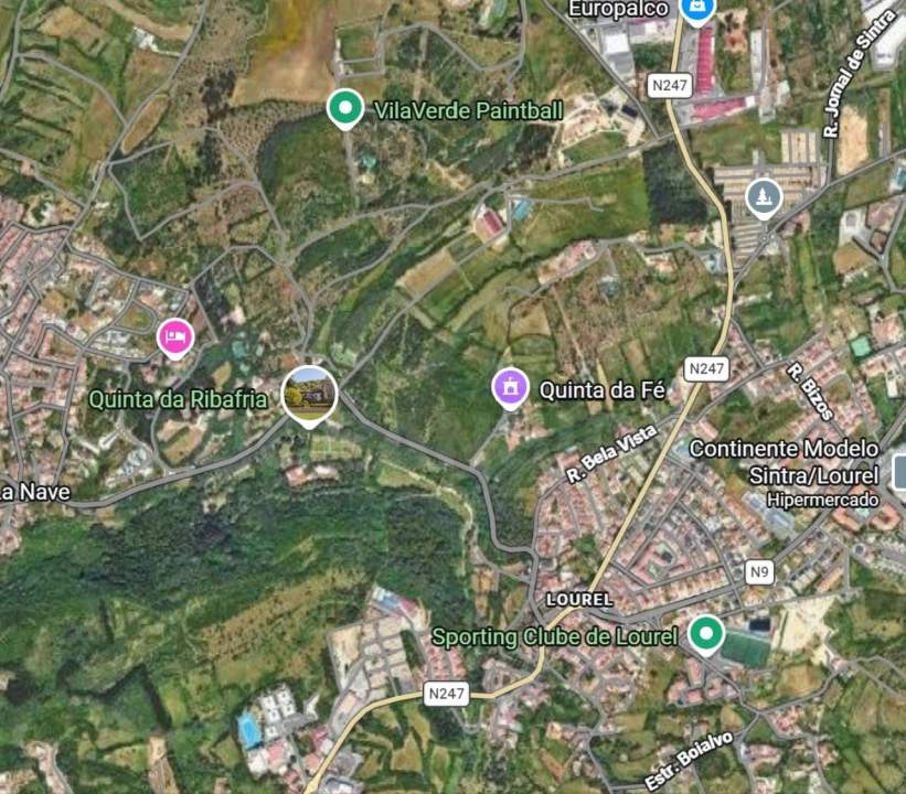 Negócio para Cedência de Quotas em Santa Maria e São Miguel, São Martinho, São Pedro Penaferrim Foto 7