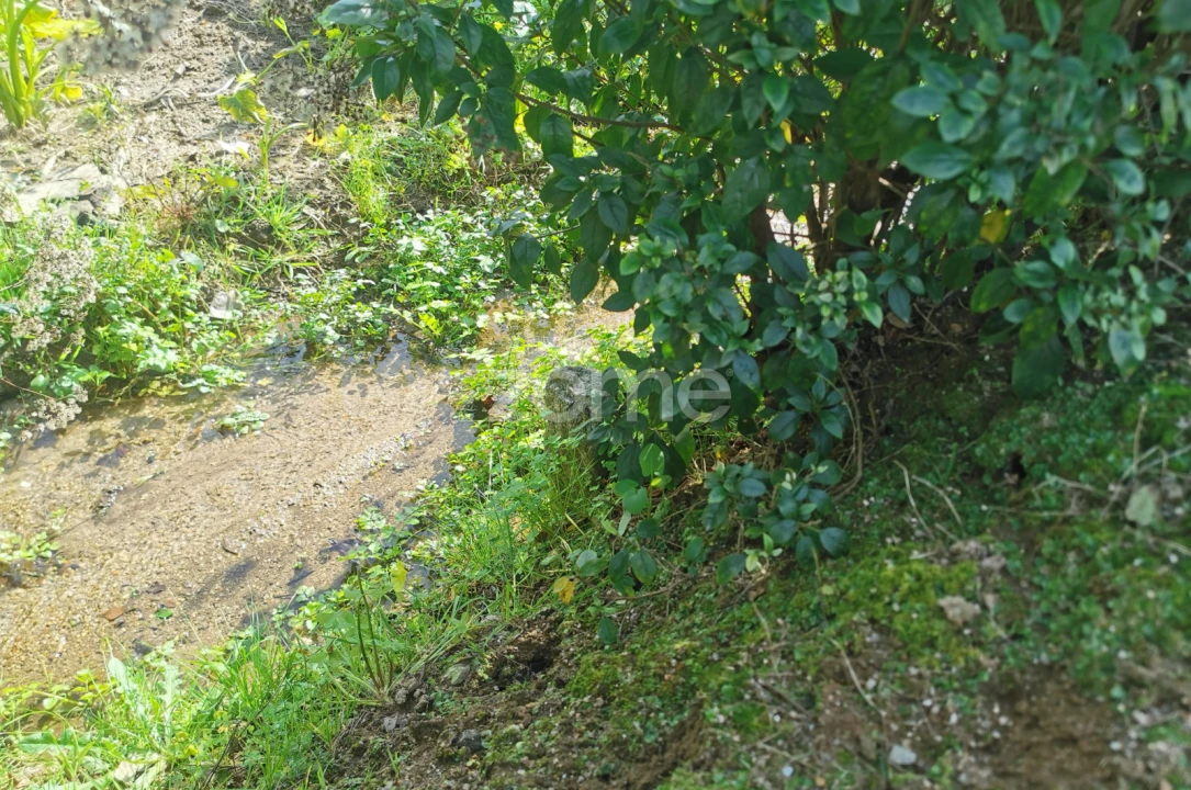 Terreno para Venda em Serzedo e Perosinho Foto 15
