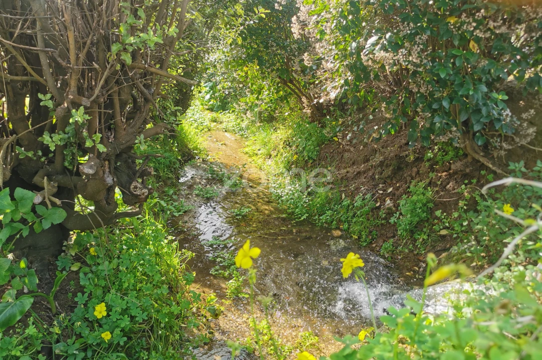 Terreno para Venda em Serzedo e Perosinho Foto 13