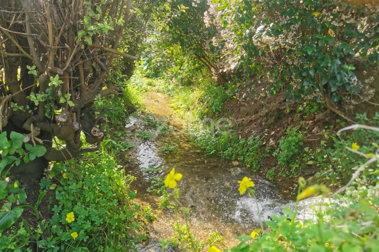 Terreno para Venda em Serzedo e Perosinho Foto 13