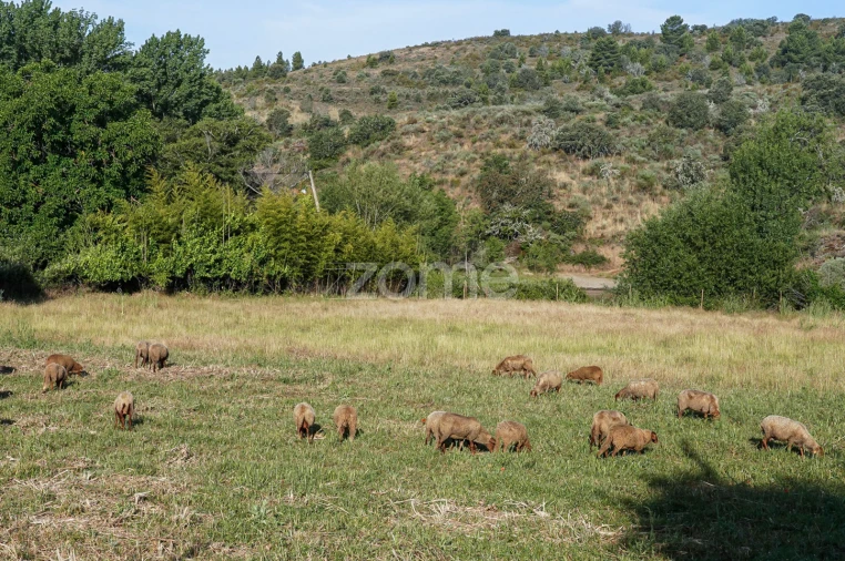 Moradia T4 para Venda em Mascarenhas Foto 45