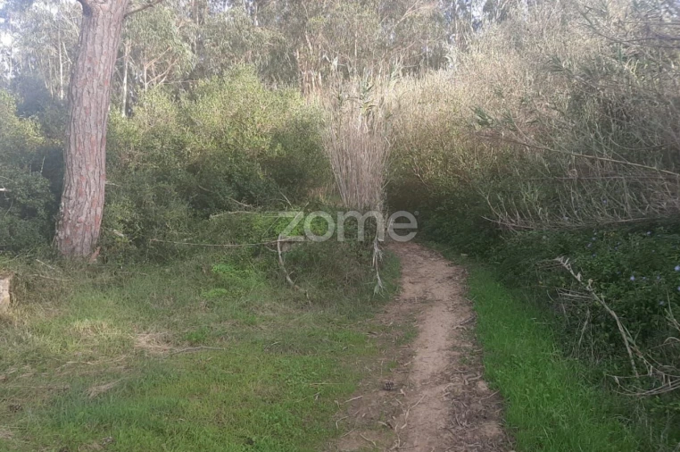 Terreno para Venda em São João das Lampas e Terrugem Foto 3