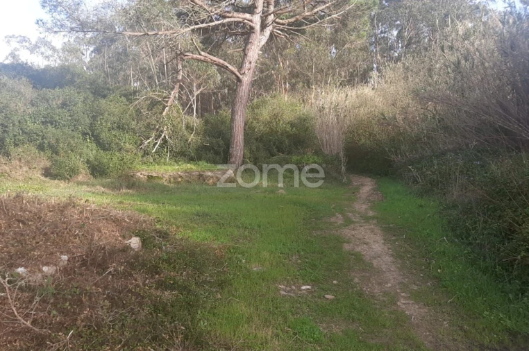 Terreno para Venda em São João das Lampas e Terrugem Foto 2