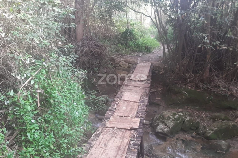 Terreno para Venda em São João das Lampas e Terrugem Foto 7