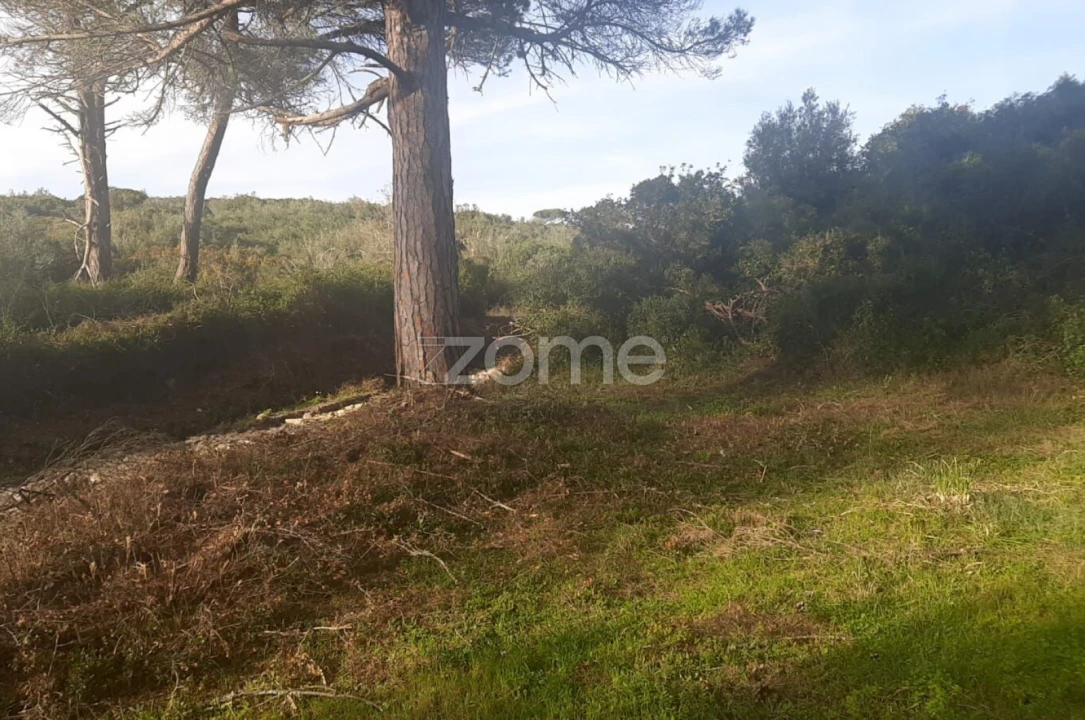 Terreno para Venda em São João das Lampas e Terrugem Foto 1