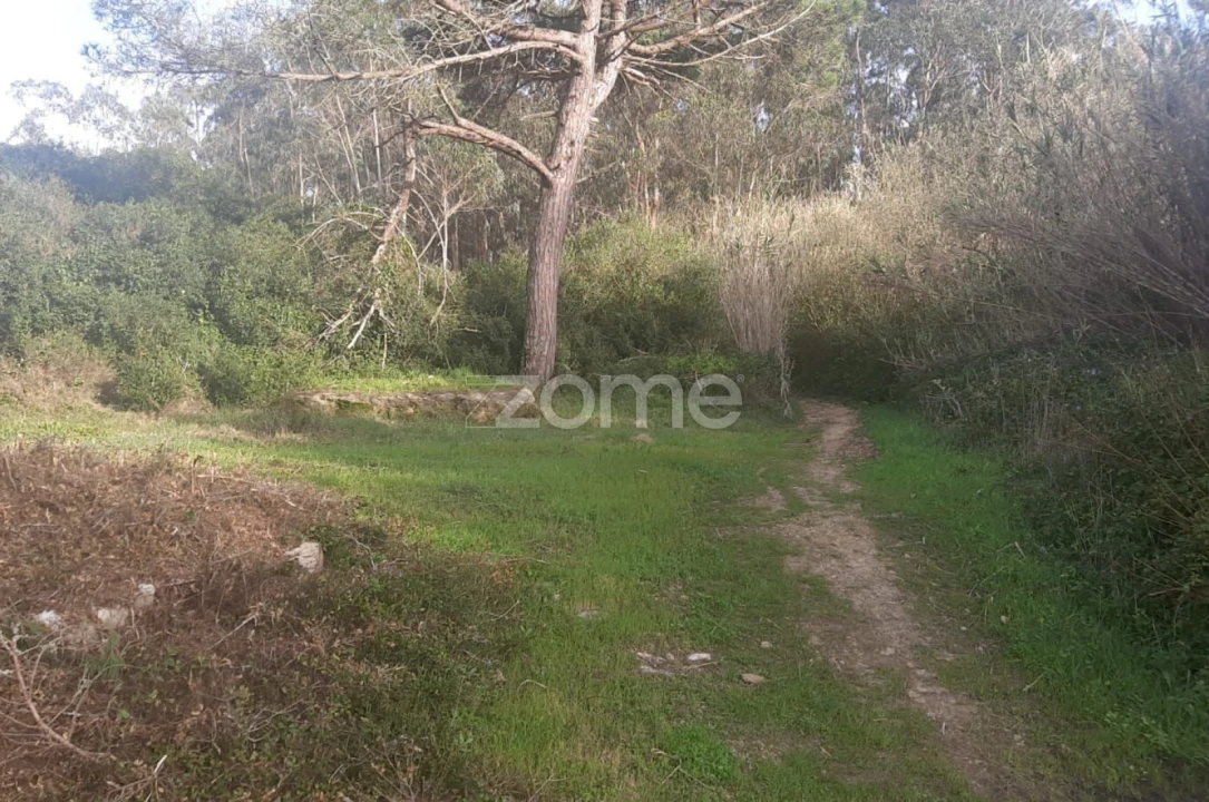 Terreno para Venda em São João das Lampas e Terrugem Foto 2