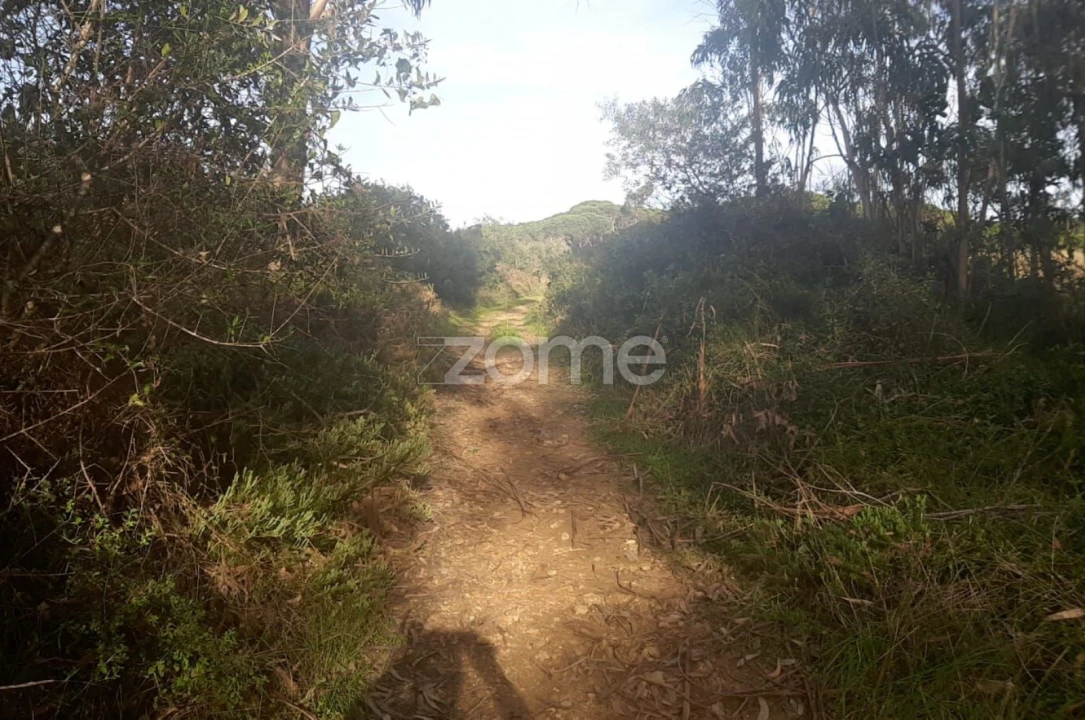 Terreno para Venda em São João das Lampas e Terrugem Foto 4