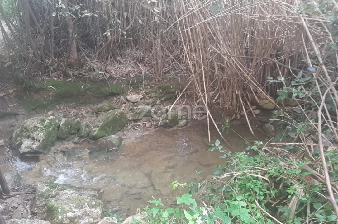 Terreno para Venda em São João das Lampas e Terrugem Foto 6