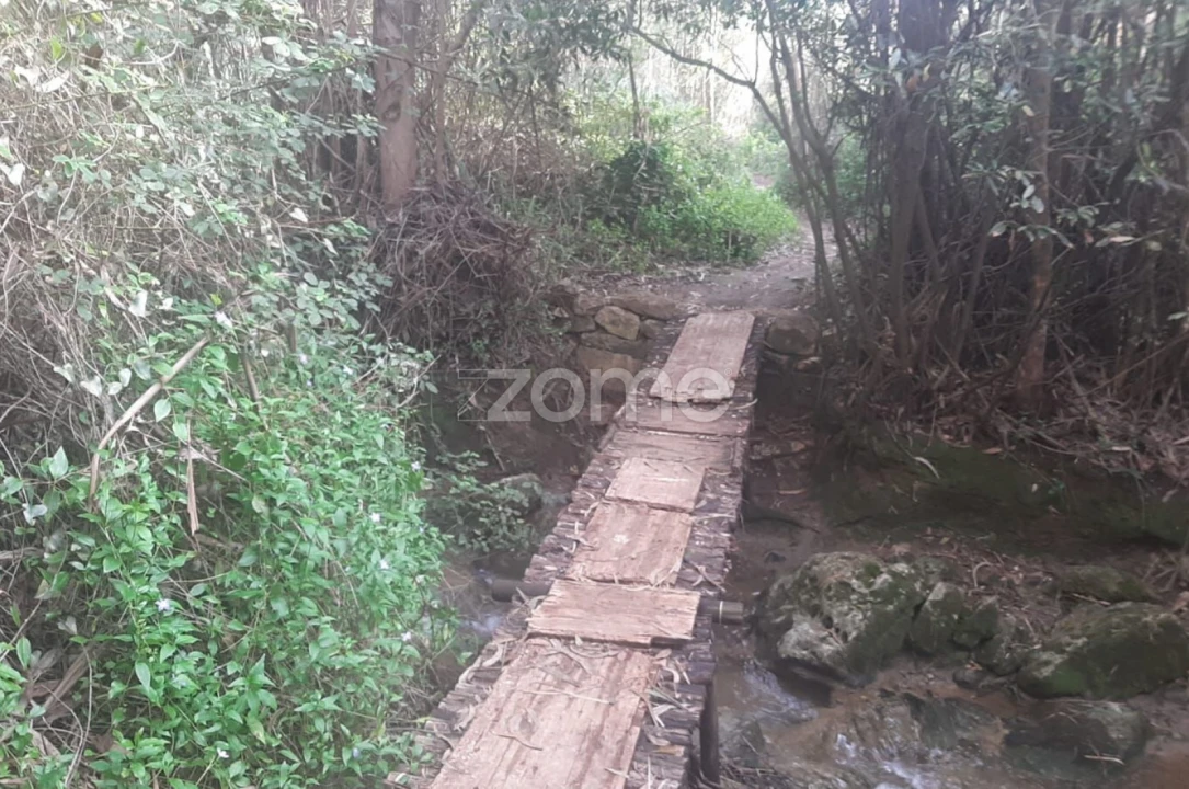Terreno para Venda em São João das Lampas e Terrugem Foto 7