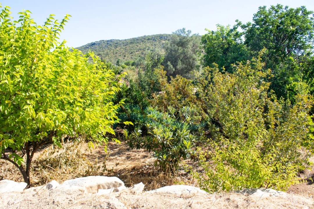 Moradia T3 para Venda em Moncarapacho e Fuseta Foto 10