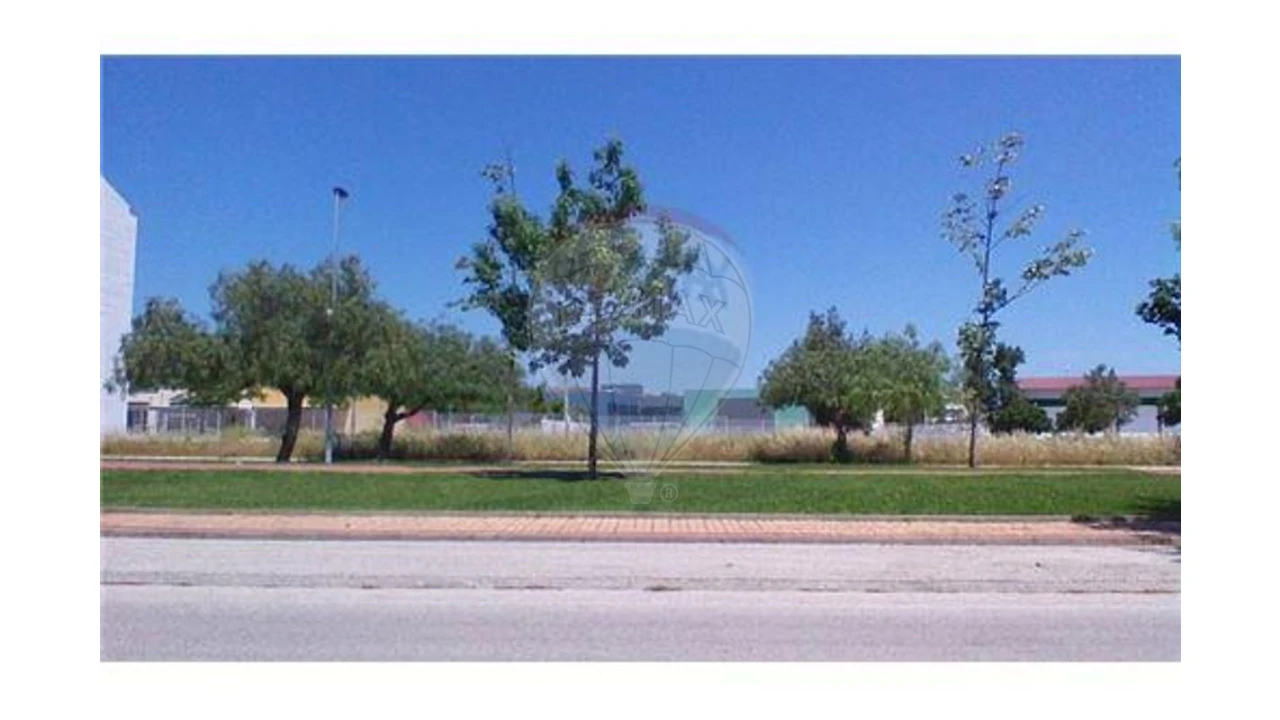 Terreno para Venda em São João Baptista Foto 3