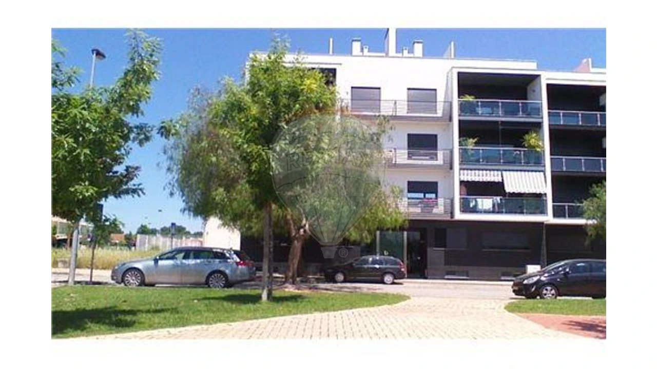 Terreno para Venda em São João Baptista Foto 11