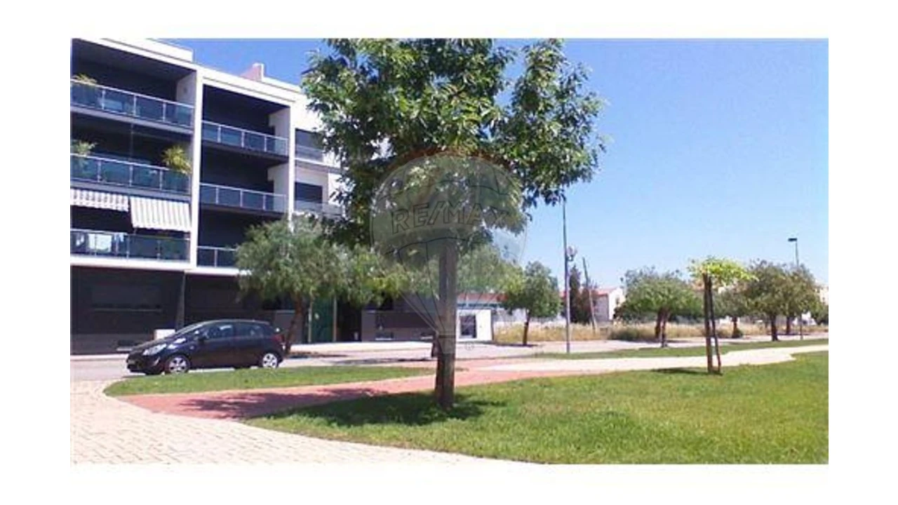 Terreno para Venda em São João Baptista Foto 12