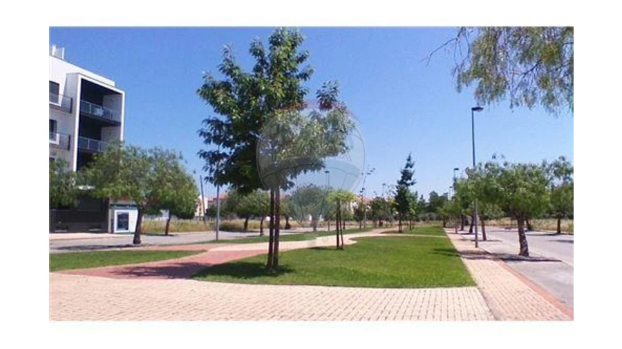 Terreno para Venda em São João Baptista Foto 10