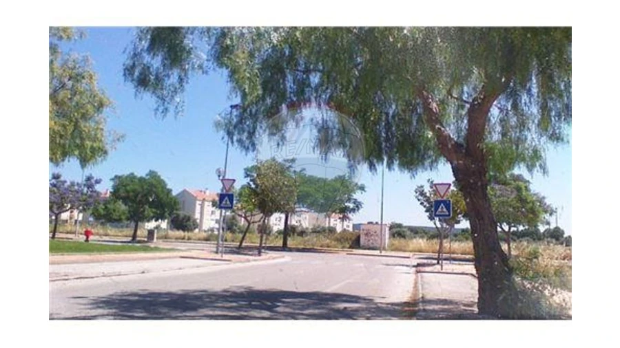 Terreno para Venda em São João Baptista Foto 4