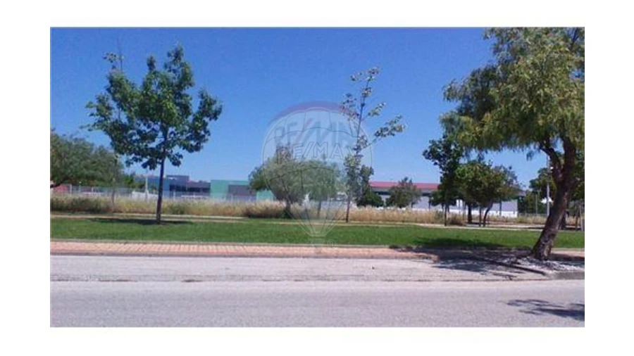 Terreno para Venda em São João Baptista Foto 2