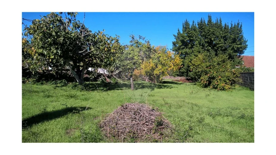 Terreno para Venda em Malhou, Louriceira e Espinheiro Foto 1