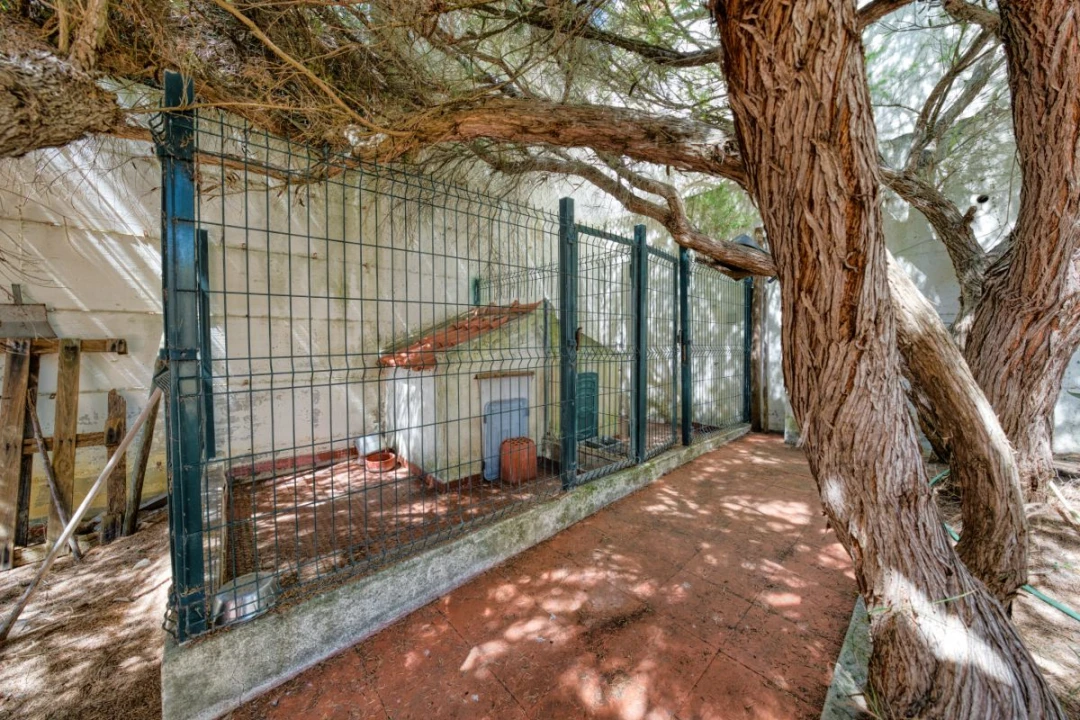 Moradia T5 para Venda em Azambuja Foto 10