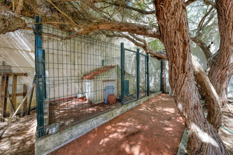 Moradia T5 para Venda em Azambuja Foto 10