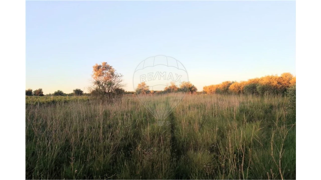 Terreno para Venda em Manique do Intendente, Vila Nova de São Pedro e Maçussa Foto 6