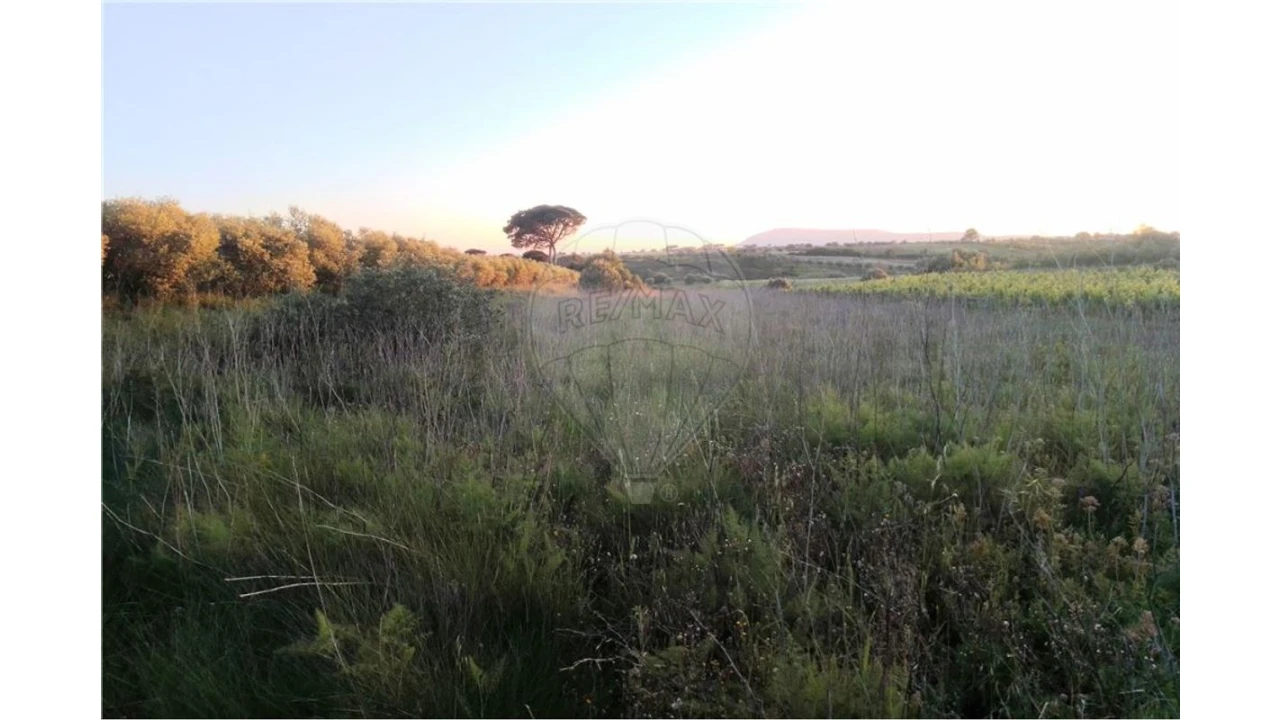 Terreno para Venda em Manique do Intendente, Vila Nova de São Pedro e Maçussa Foto 5