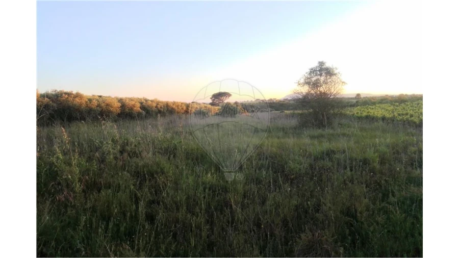 Terreno para Venda em Manique do Intendente, Vila Nova de São Pedro e Maçussa Foto 4