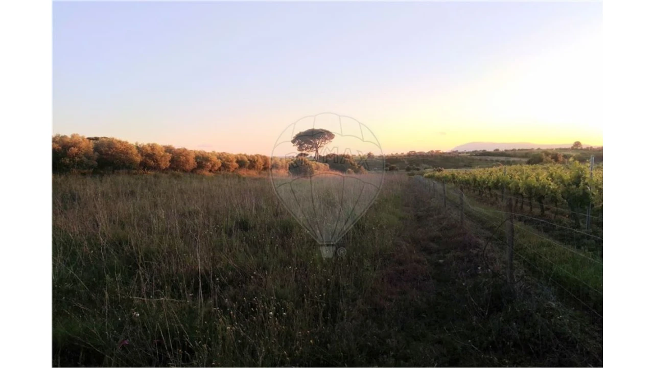 Terreno para Venda em Manique do Intendente, Vila Nova de São Pedro e Maçussa Foto 7