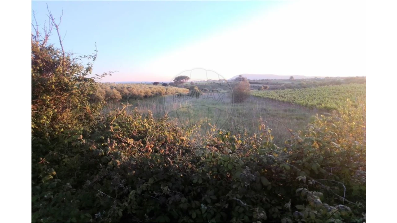 Terreno para Venda em Manique do Intendente, Vila Nova de São Pedro e Maçussa Foto 1