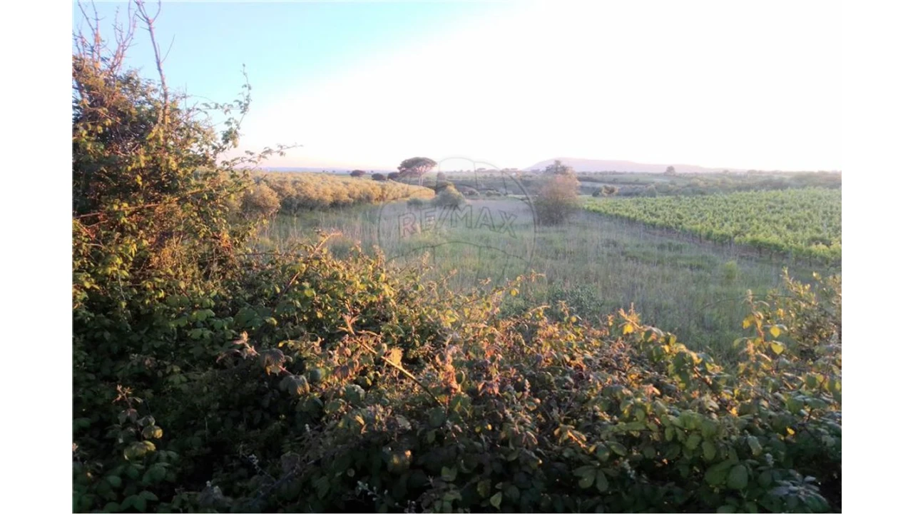 Terreno para Venda em Manique do Intendente, Vila Nova de São Pedro e Maçussa Foto 2