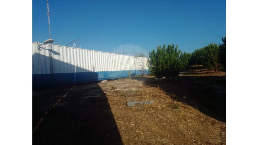 Terreno para Venda em Almoster Foto 2