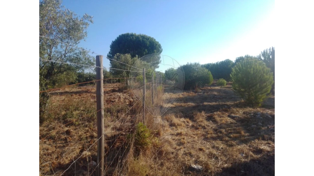 Terreno para Venda em Almoster Foto 8