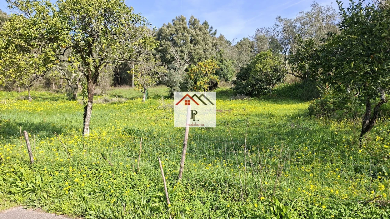 Terreno para Venda em Eiras e São Paulo de Frades Foto 9