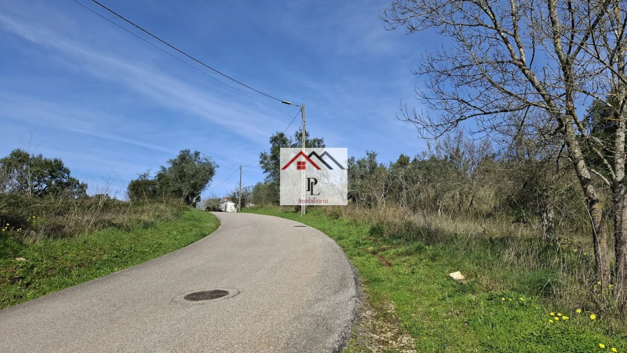 Terreno para Venda em Eiras e São Paulo de Frades Foto 2