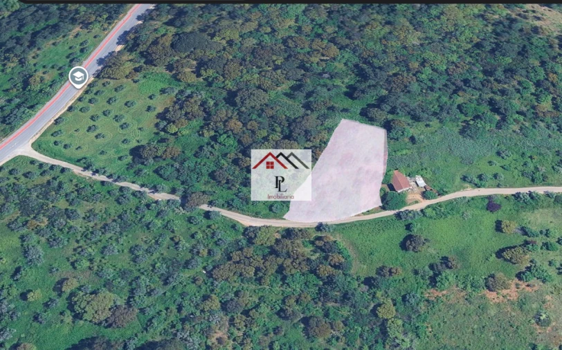 Terreno para Venda em Eiras e São Paulo de Frades Foto 5