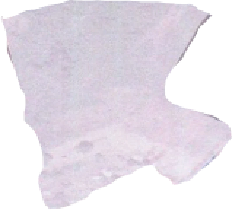 Terreno para Venda em Eiras e São Paulo de Frades Foto 16