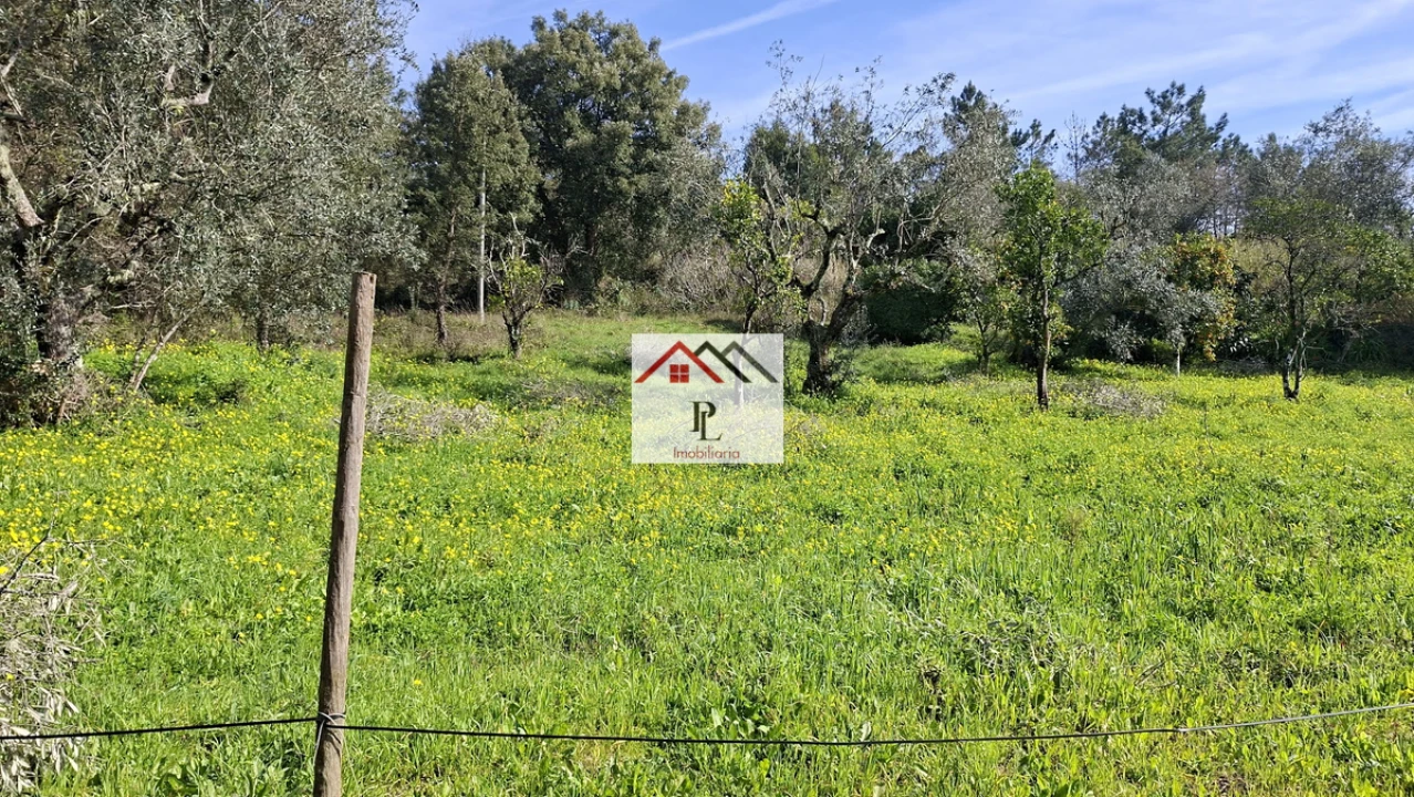 Terreno para Venda em Eiras e São Paulo de Frades Foto 4