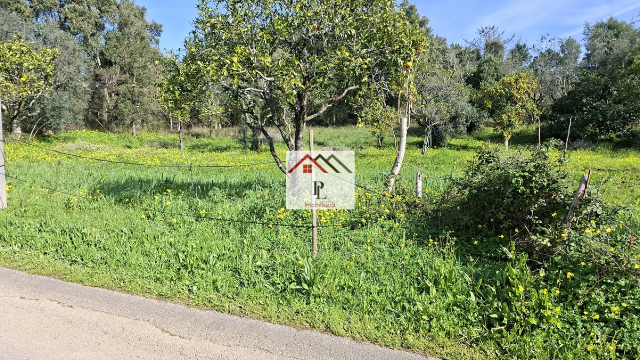 Terreno para Venda em Eiras e São Paulo de Frades Foto 8