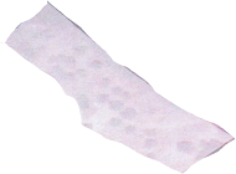 Terreno para Venda em Eiras e São Paulo de Frades Foto 15