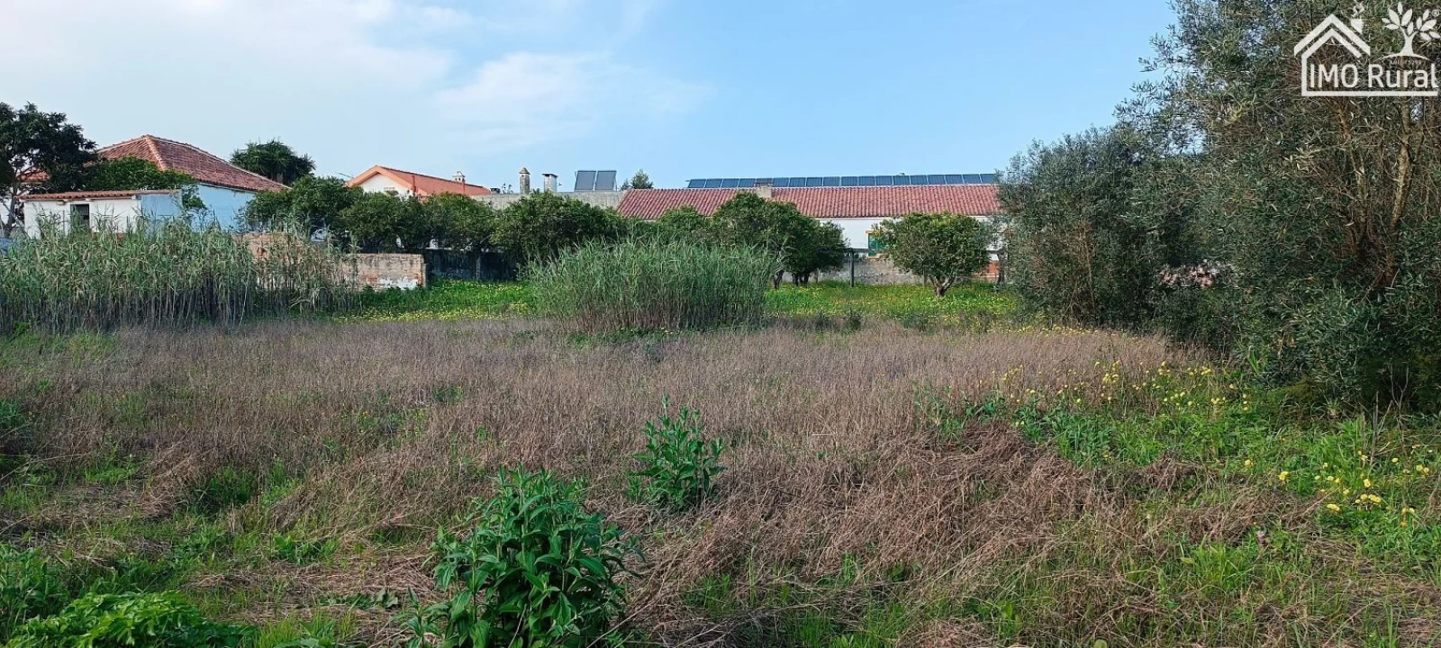 Terreno para Venda em Marvila, Ribeira Santarém, São Salvador, São Nicolau Foto 13