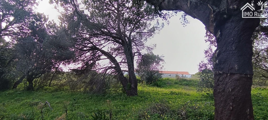 Terreno para Venda em Marvila, Ribeira Santarém, São Salvador, São Nicolau Foto 12